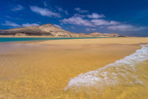 Canarie
