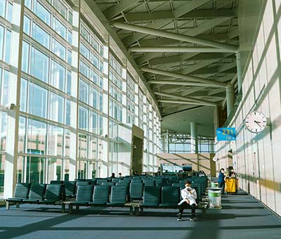 iata-test-a-tappeto-prima-della-partenza