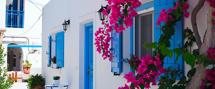 houses and flowers in Greece